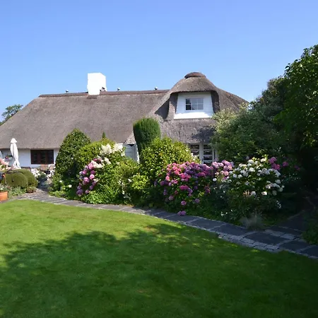 Duenenrose Westerland