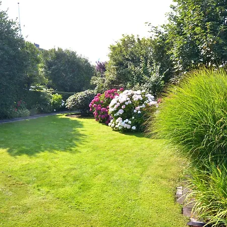 Duenenrose * Westerland